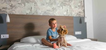 PET FRIENDLY: Фотография